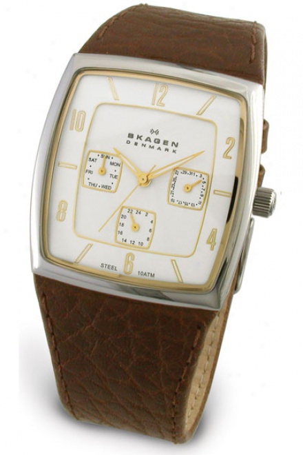 Skagen 390lsgl1
